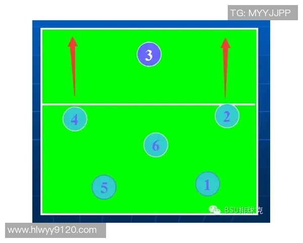 杭州排球队战术深度解析:从技术细节到团队协作的全面剖析 杭州排球队战术深度解析:从技术细节到团队协作的全面剖析