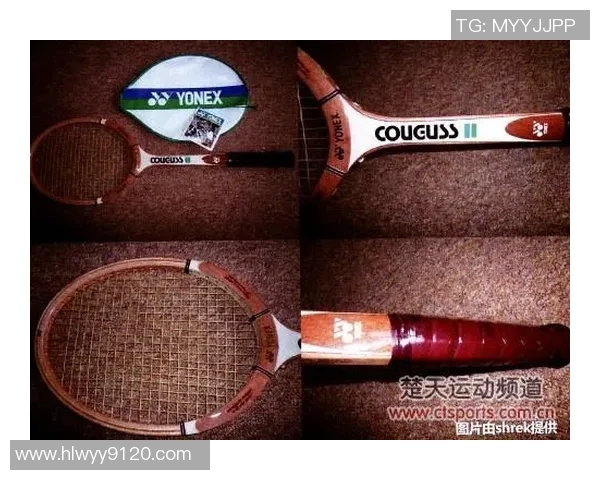 西安羽毛球队力量争议引发热议运动员表现与训练方式的深度探讨 西安羽毛球队力量争议引发热议运动员表现与训练方式的深度探讨