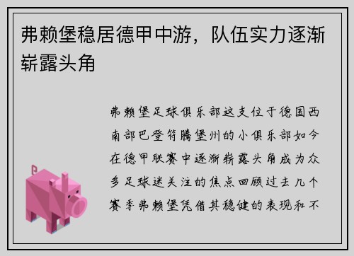弗赖堡稳居德甲中游，队伍实力逐渐崭露头角