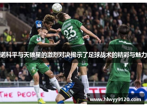 诺科平与天狼星的激烈对决揭示了足球战术的精彩与魅力